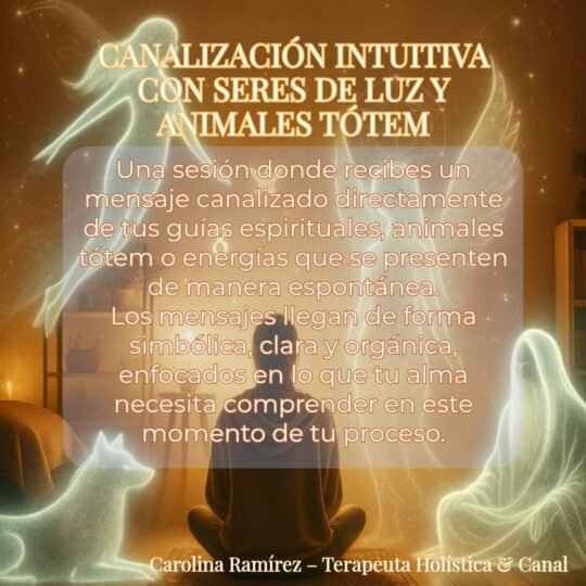 whatsapp image 2025 11 30 at 5.30.45 pm whatsapp image 2025 11 30 at 5.30.45 pm