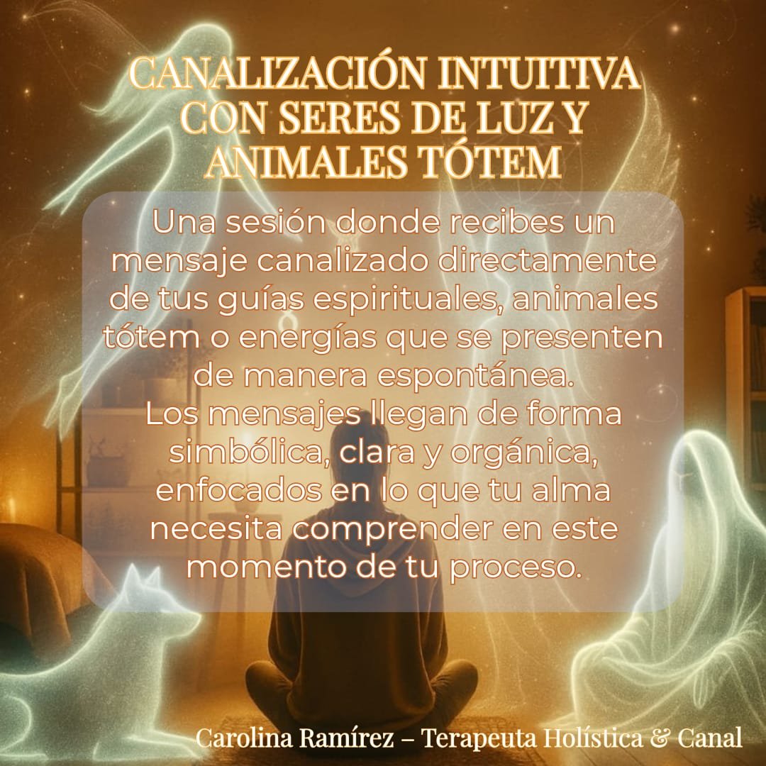 whatsapp image 2026 01 20 at 7.21.27 pm